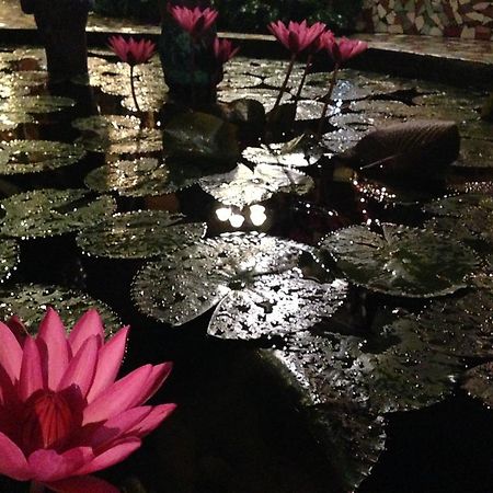 The Lotus Garden Bed & Breakfast Puerto Princesa Exterior photo